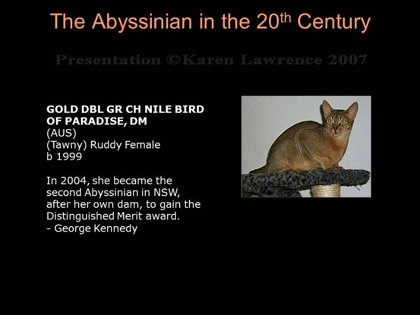 Slide440