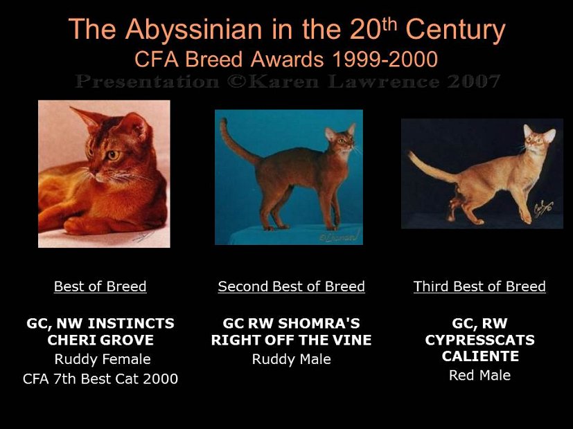 Slide441