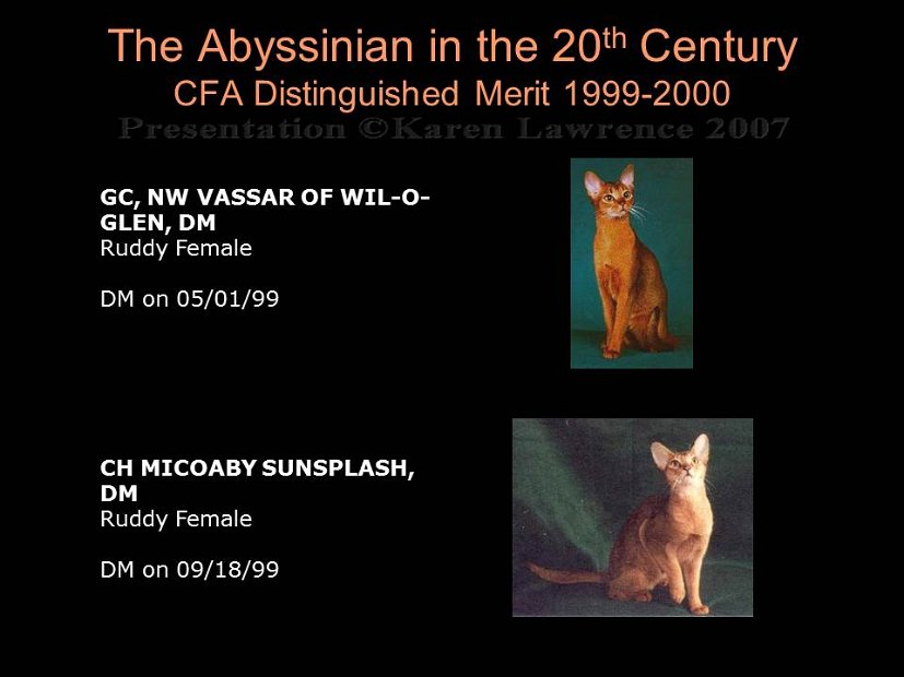 Slide442