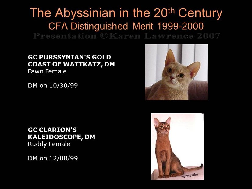 Slide443