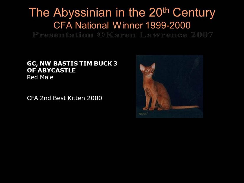 Slide447