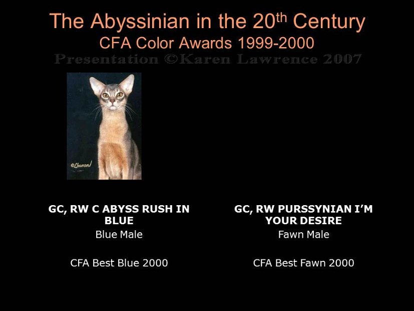 Slide449