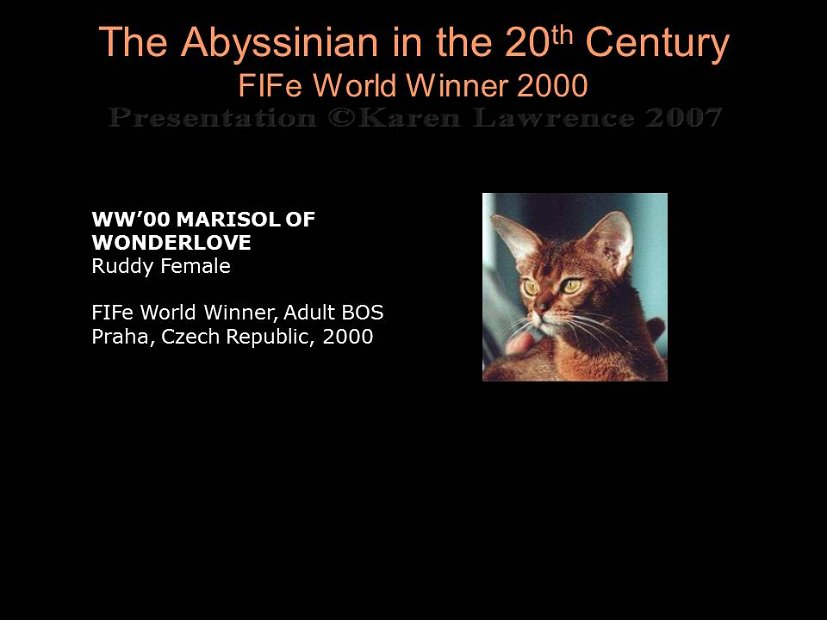 Slide450