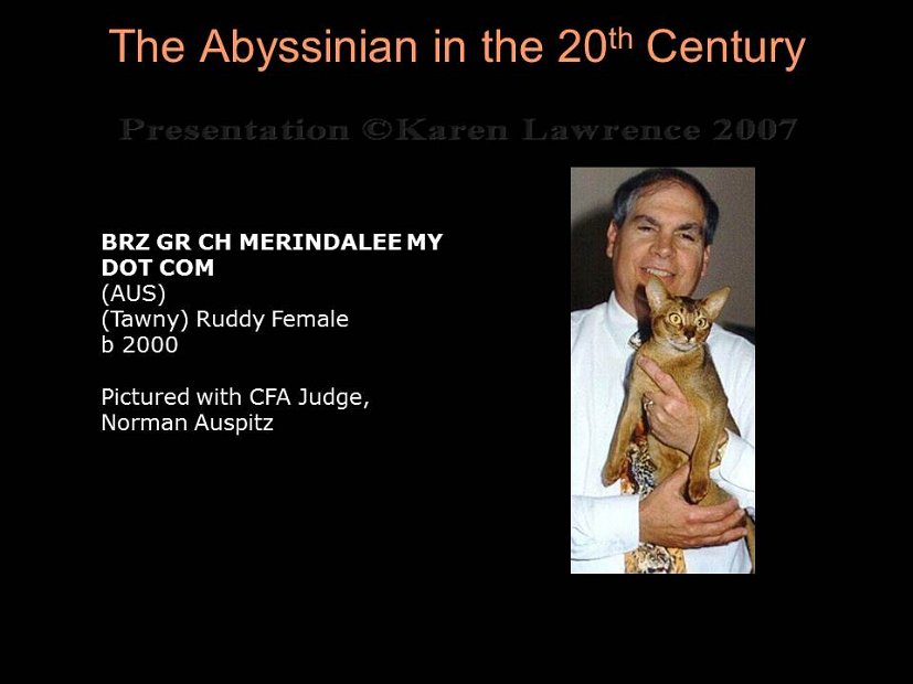 Slide451