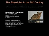 Slide440.JPG