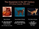 Slide441.JPG
