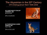 Slide444.JPG