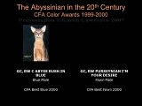 Slide449.JPG
